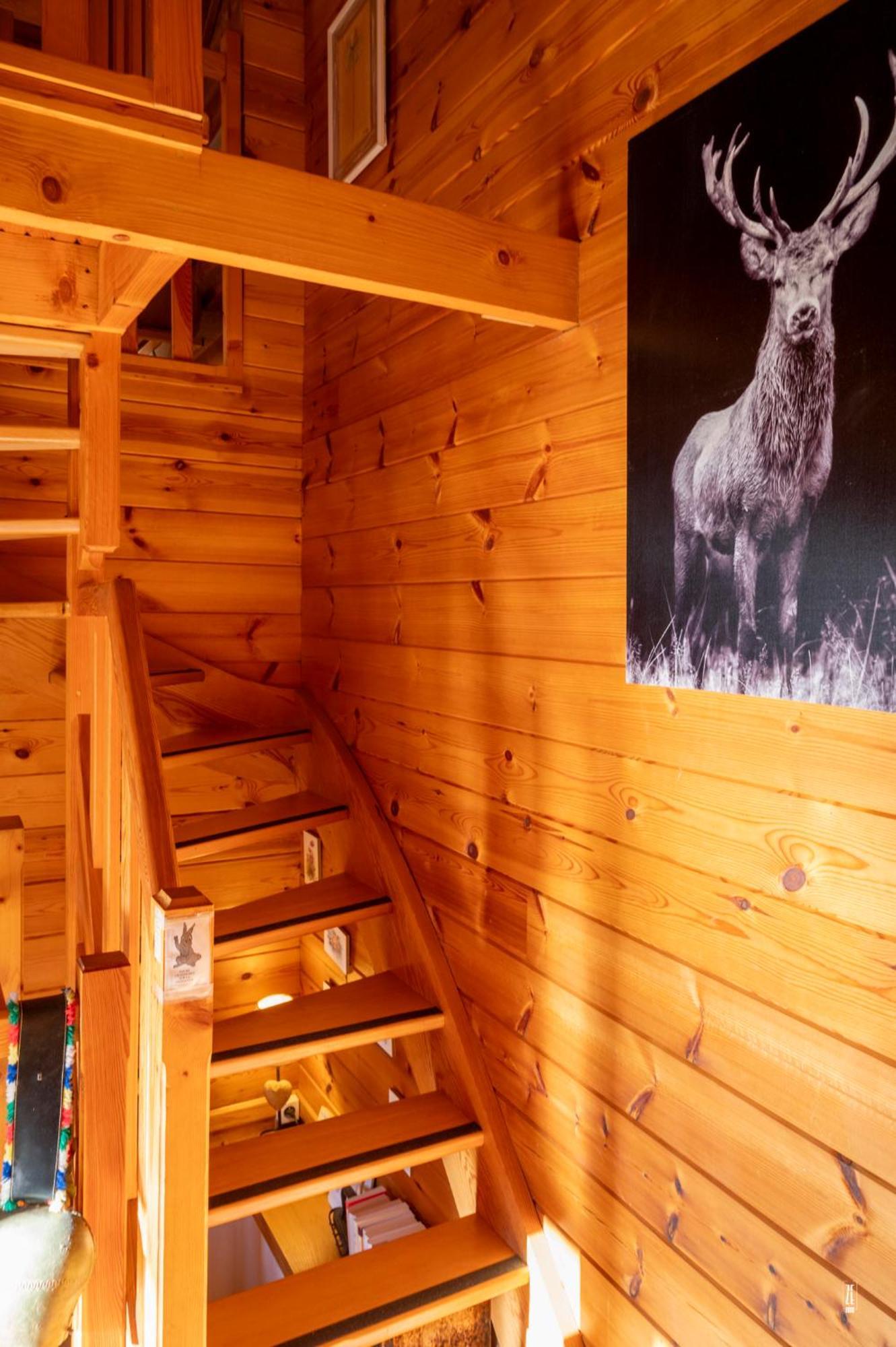 Chalet Terrasse Plein Sud, Cheminee, Ski-rando, Nature & Village, Animaux Admis, Parking La Bresse